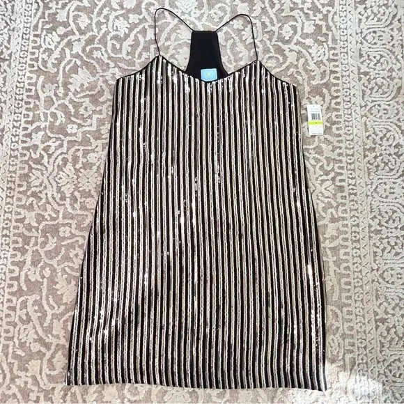 NWT CeCe Sequin Stripe Slip Dress - Picture 8 of 16
